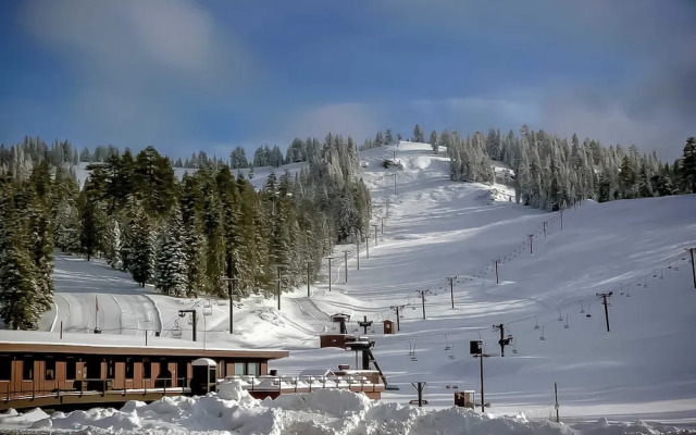 Bends Artful Adventure 4 BDR