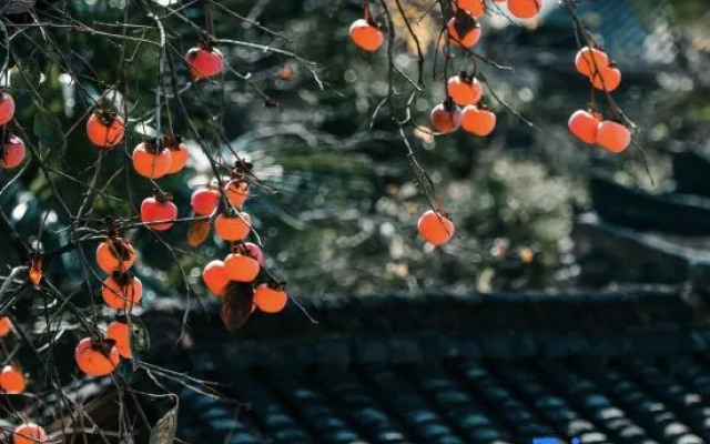 Wuyuan Huangling Qianyuan Backyard Homestay