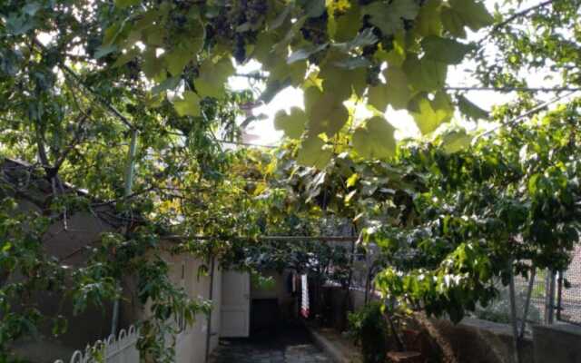 Guest House On Gunia - Hostel