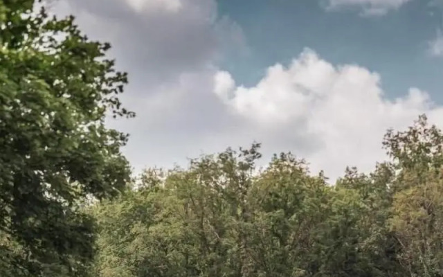 Volvic Organic Resort