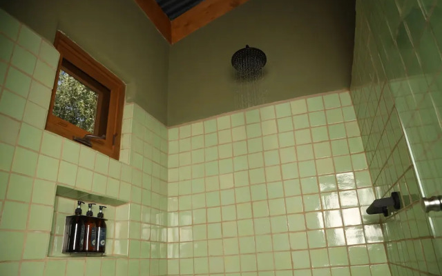 Alma Liebre Viñedos del Valle