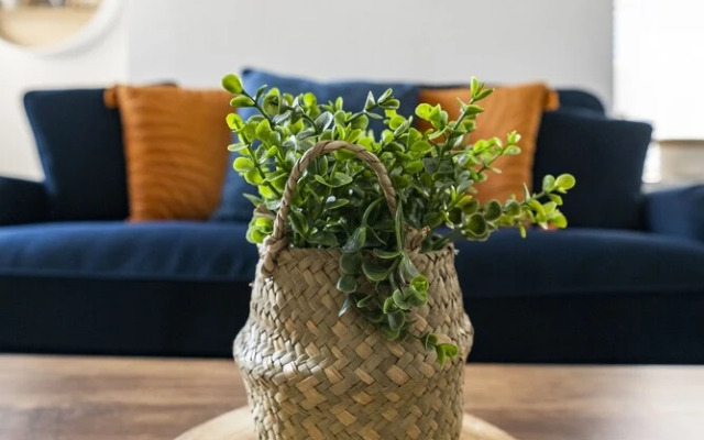 The Nest by Stamp SA
