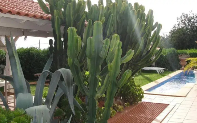 Casa d'Alfarrobeira Suites