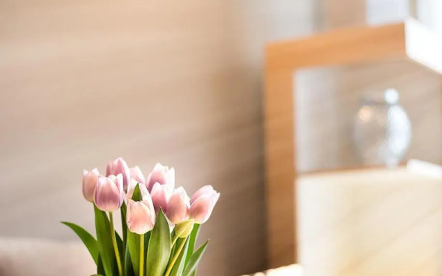 Stylish apartment in old town Prague