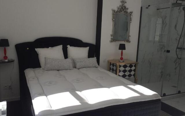 Appartement OH! Duc de Sully