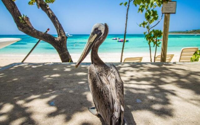 Paradise Island Beach Resort