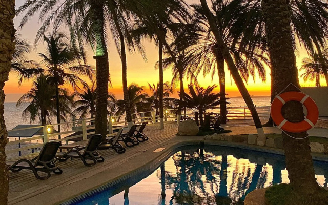 Surf Paradise