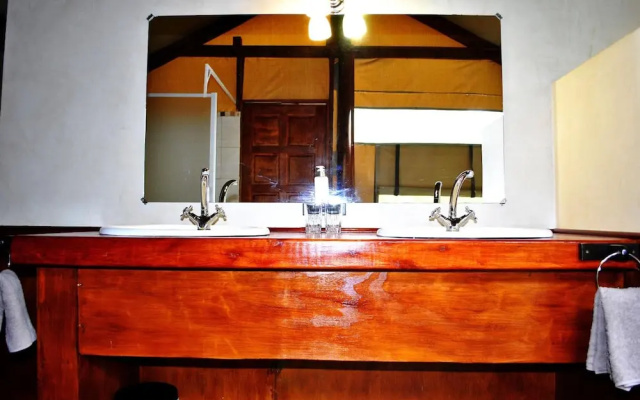 Lion Tree Top Lodge