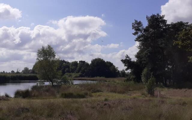Drentse bungalow in natuur en rust