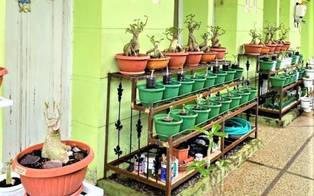 Buntusu Guest House By Zuzu