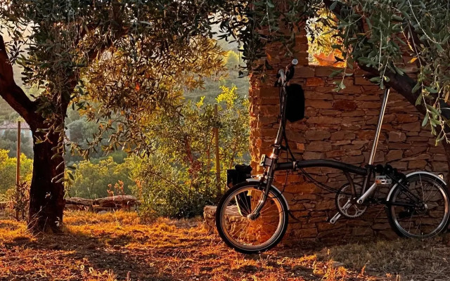 Simple Home