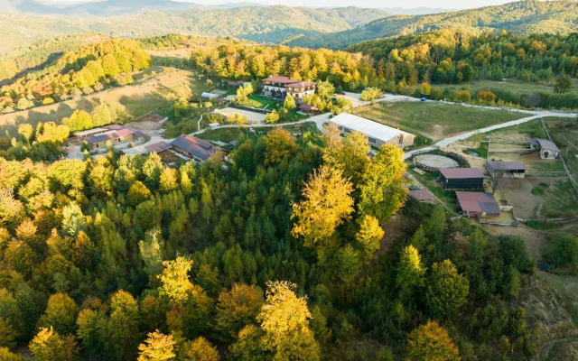 Potcoava Mountain Hideaway