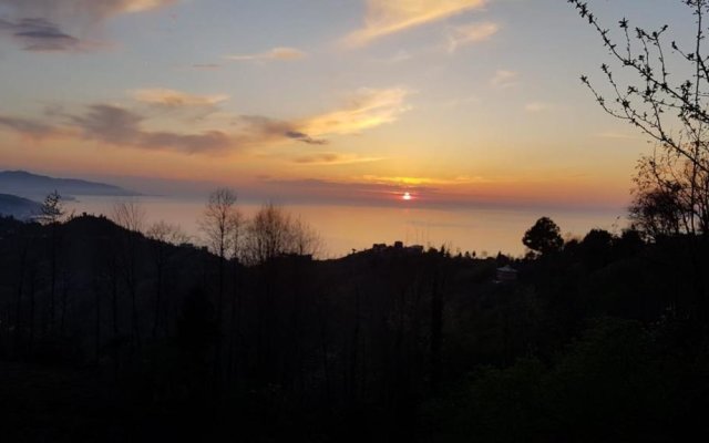 Flat With Magnificent View in Rize