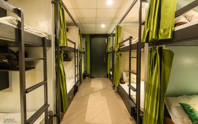 Forrest Hostels