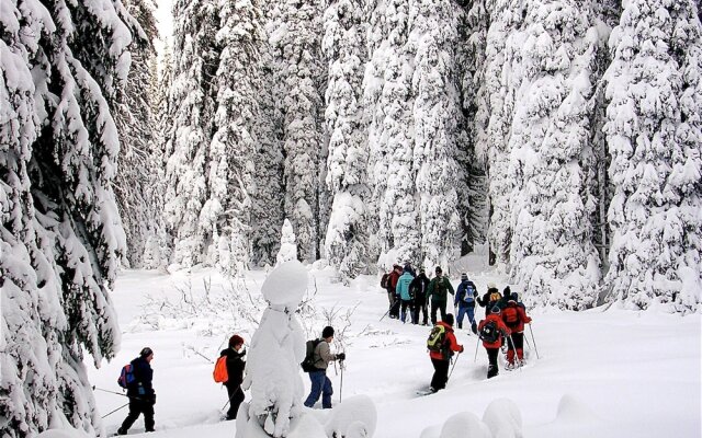 The Bulldog Hotel Silver Star