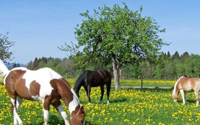 Ferienhof und Baumhaushotel