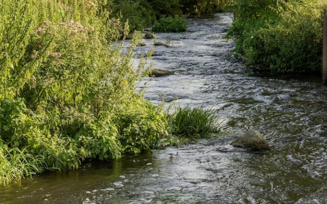 Wildland Natural Resort