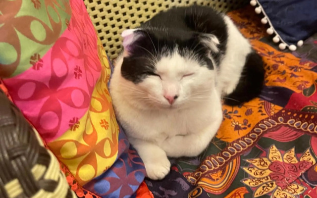 Selena Dalat Homestay