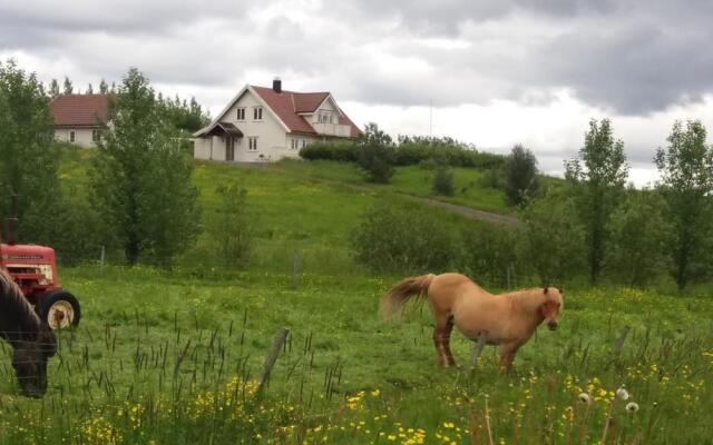 Birkikinn Holiday Home