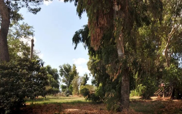 Tenuta Donna Olimpia