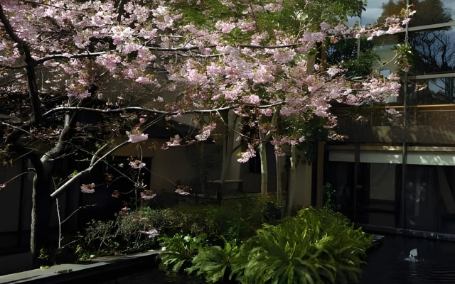 Imaiso