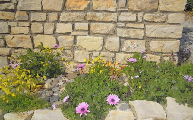 Petaloudes 2