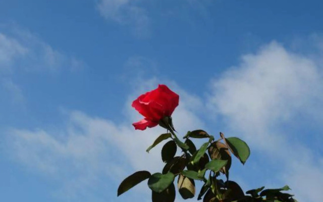 Yiyang Boutique Hotel