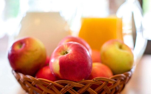 Rodeway Inn Lake Placid South