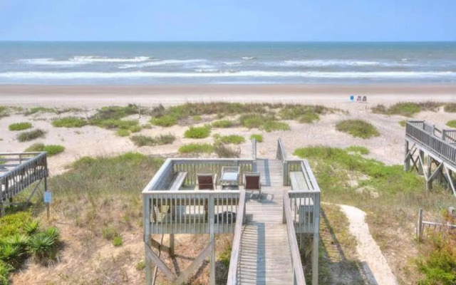 Stranded Indolphinitely