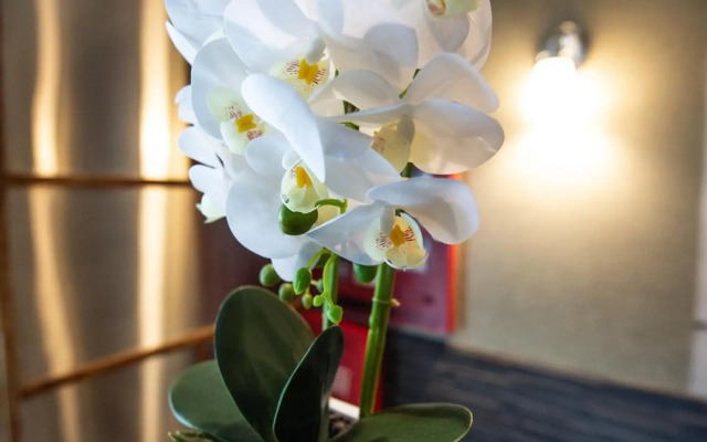 The Solita Soho Hotel
