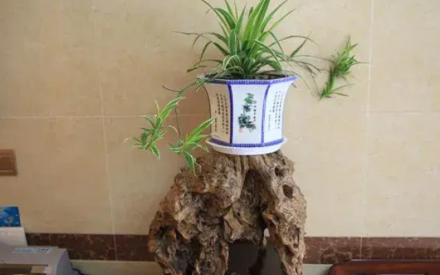 the Jiuhua Mountain Chicken Heights