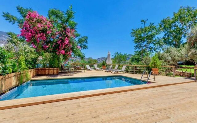 Kalkan Andriake