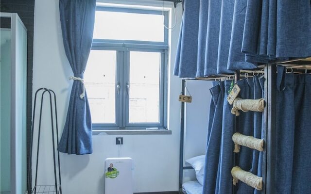 Zeako Youth Hostel