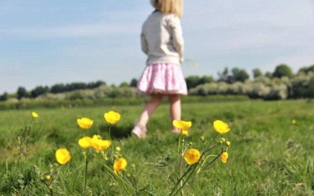 Casa Marfil - Hostel