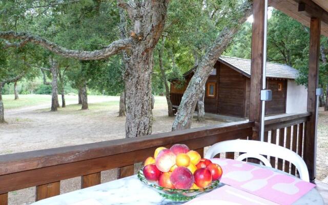 In Tavignanu