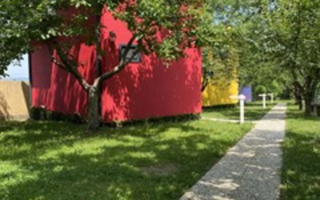 Rif Sapanca