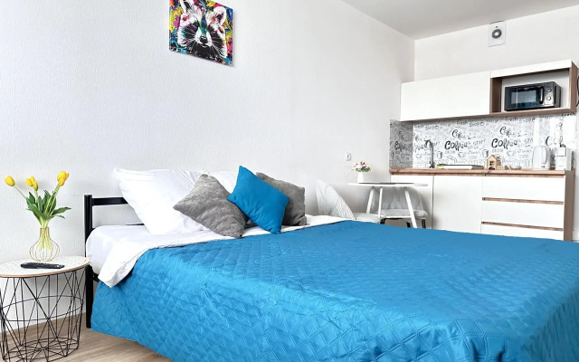 Studio apartment on Sputnik 16/4
