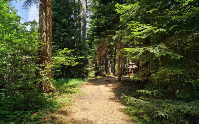 PinePino Borovets, aparthotel Borovets Gardens A60