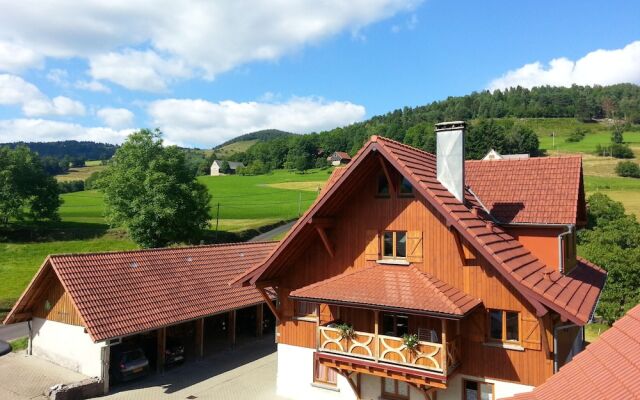 Apartment With 2 Bedrooms in Soultzeren, With Wonderful Mountain View,