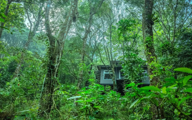 Wayanad Wild Rainforest lodge by CGH Earth