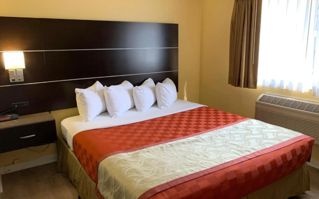 Olive Tree inn & Suites