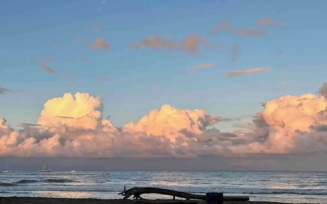 Hidden House Casa Escondida