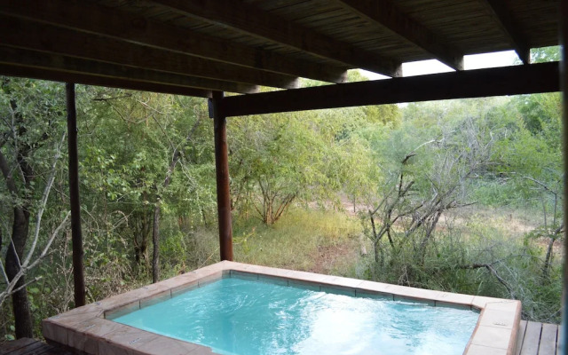 Lion Tree Bush Lodge