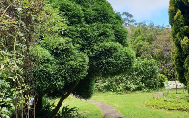 English Gardens - Forest Spa Suite