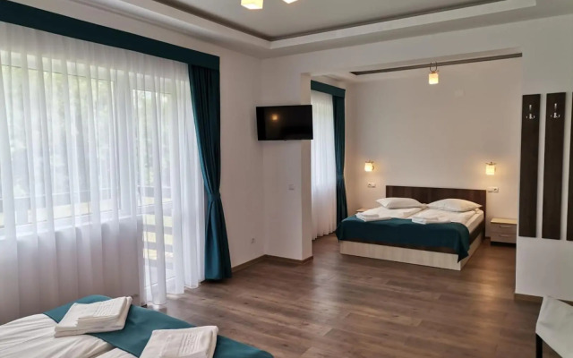 Vila President Sovata