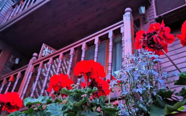 Hotel Albatros Old Town