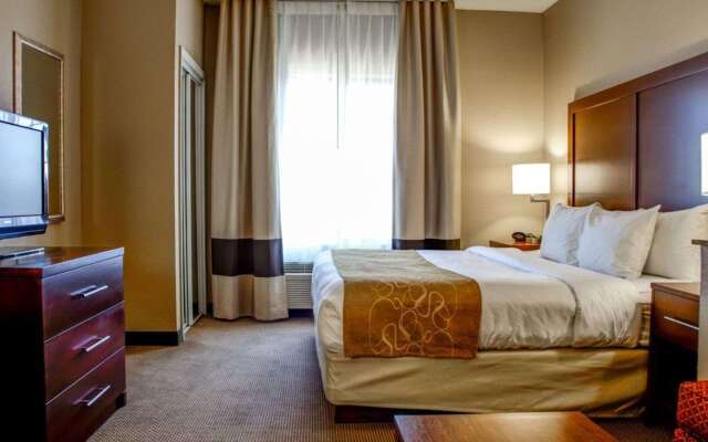 Comfort Suites Gadsden Attalla