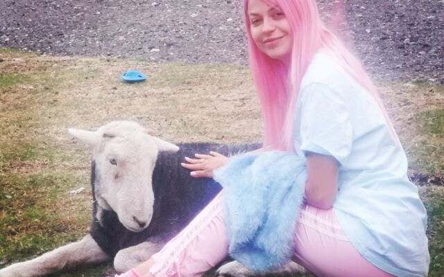 Brampton Dales Farm B&B