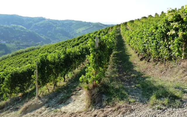 The Bread Oven House