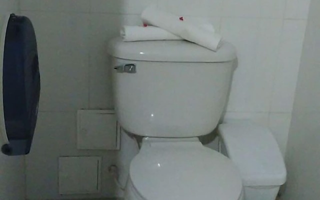 Cabañas Polangy
